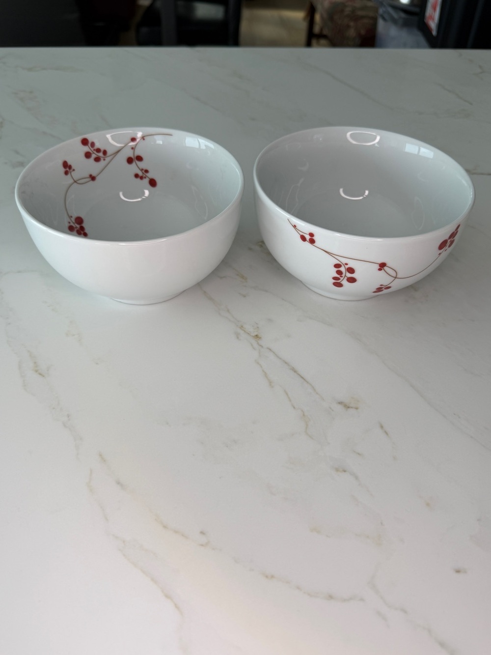 Two bowls Mikasa - Red Berries by Gourmet Basics